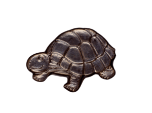 TARTARUGA TIPO TAVOLETTA è stato aggiunto alla lista dei desideri!