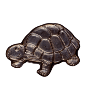 TARTARUGA TIPO TAVOLETTA