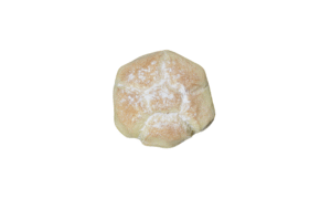 PANINO SINGOLO è stato aggiunto alla lista dei desideri!